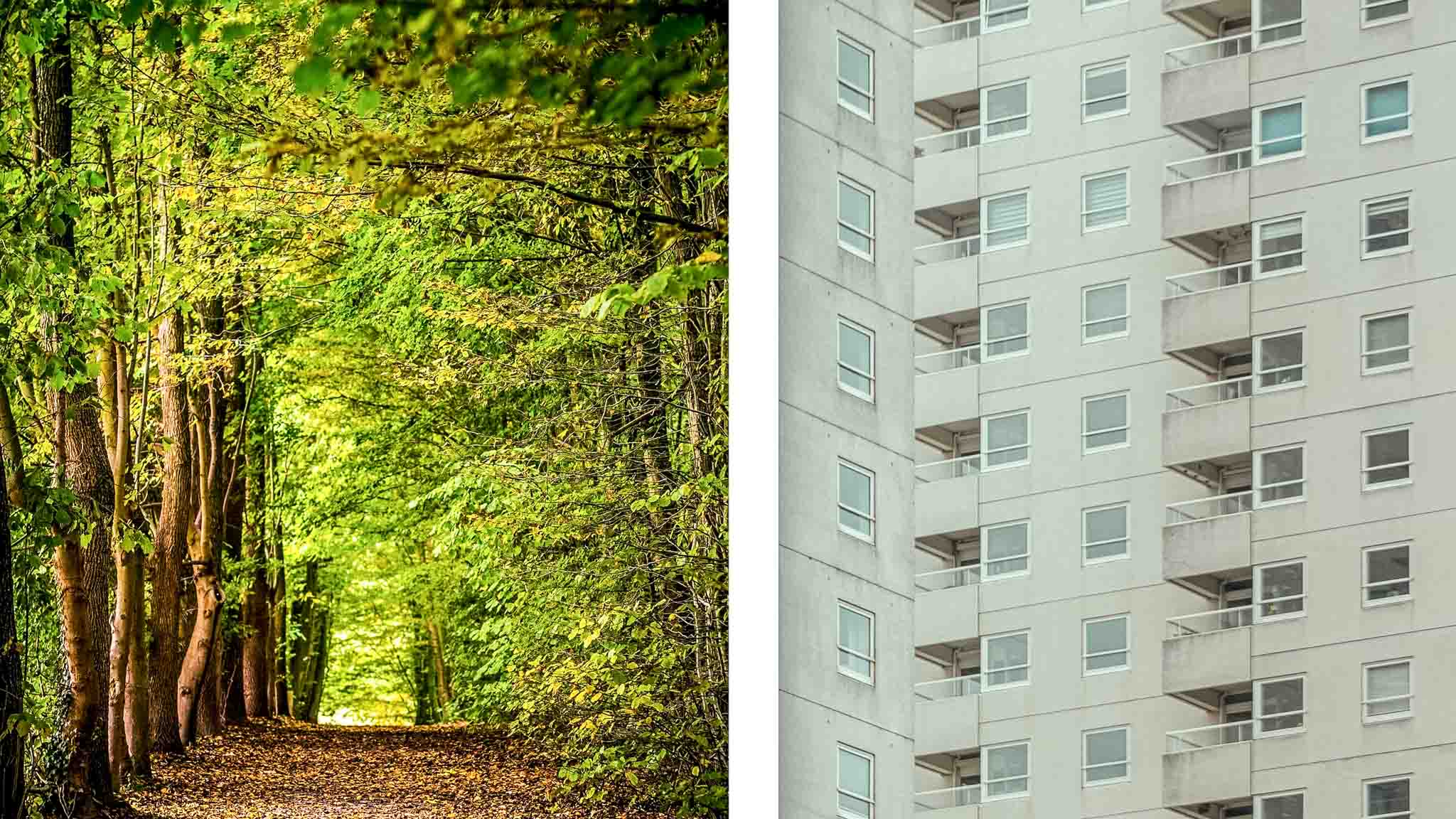 wald-stadt-resilienzfaktor-umgebung Wald Stadt-Resilienzfaktor Umgebung